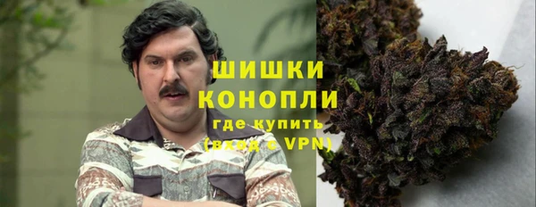 гидра Балахна