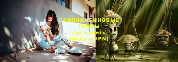прущие грибы Балабаново