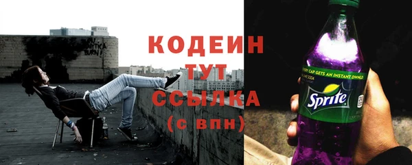 прущие грибы Балабаново