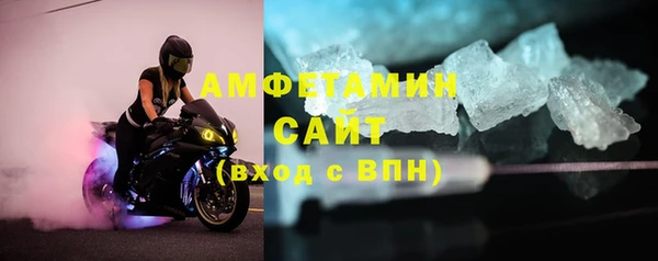 прущие грибы Балабаново
