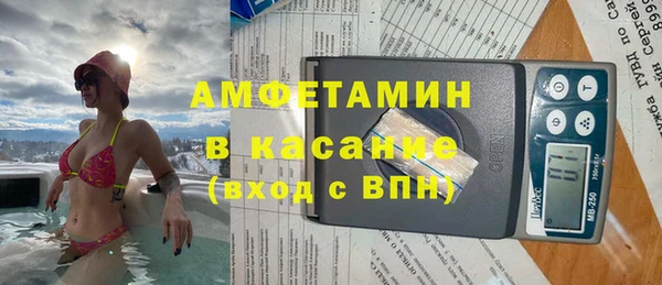 прущие грибы Балабаново