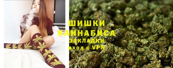 молекула духа Снежинск