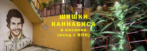 гидра Балахна